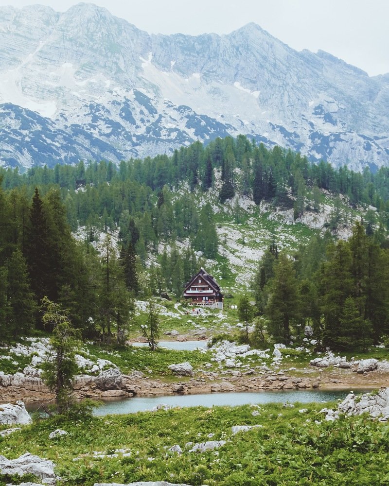 Photograph by Юля Колмакова