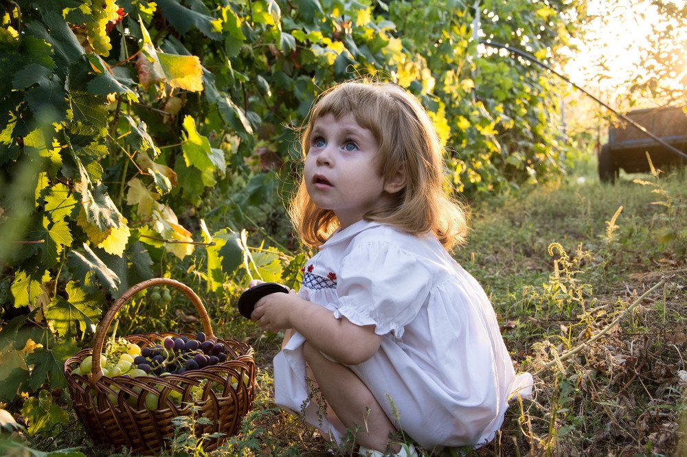 Photograph by Мария Мирная