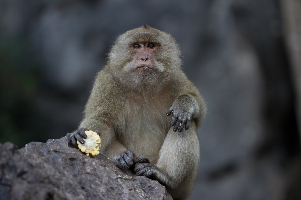 Photograph by Валерий Машук