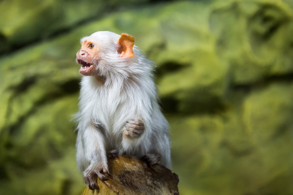 Photograph by Oleg Patrin