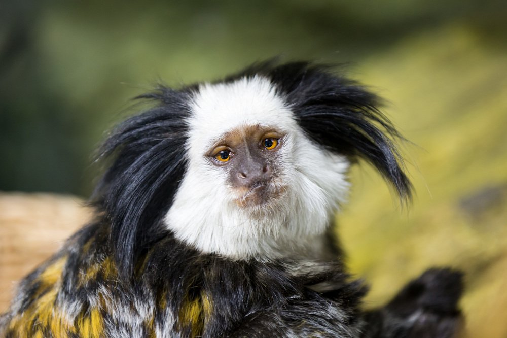 Photograph by Oleg Patrin