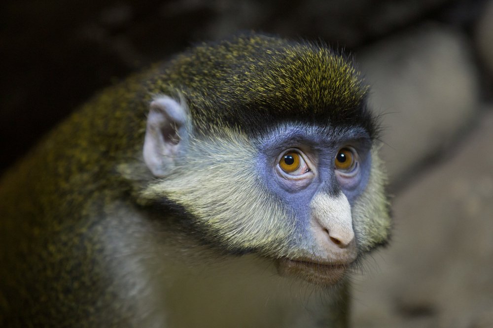 Photograph by Oleg Patrin