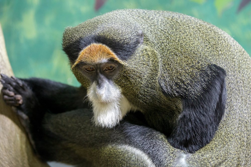 Photograph by Oleg Patrin