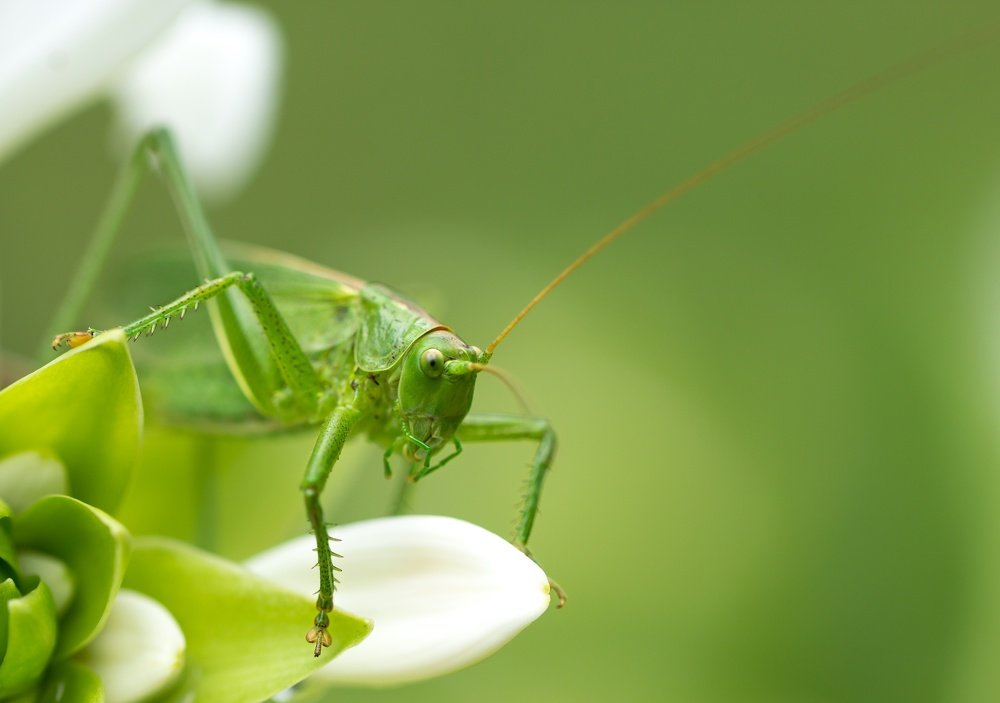 Photograph by Oleg Patrin