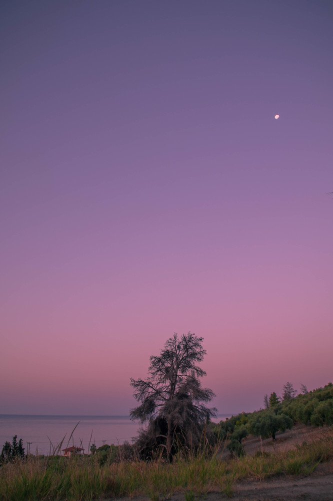 Photograph by Ирина Нагорная