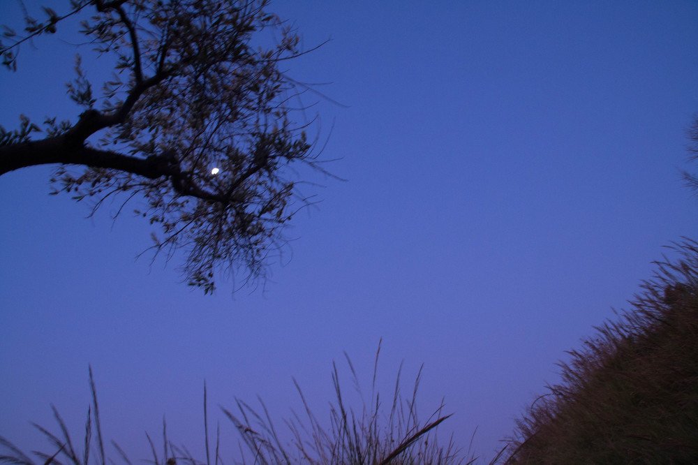 Photograph by Ирина Нагорная