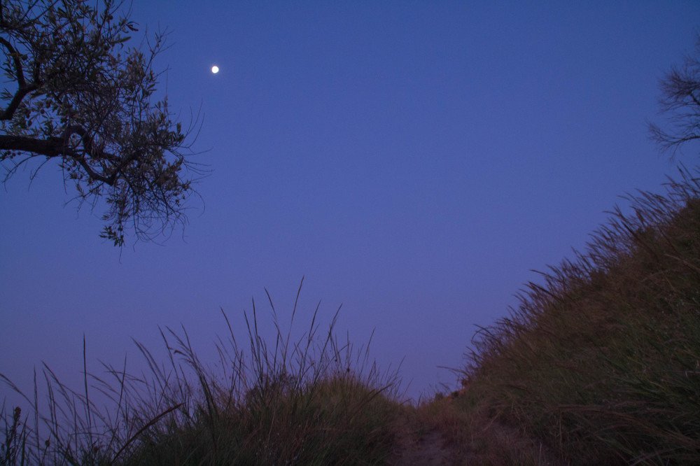 Photograph by Ирина Нагорная