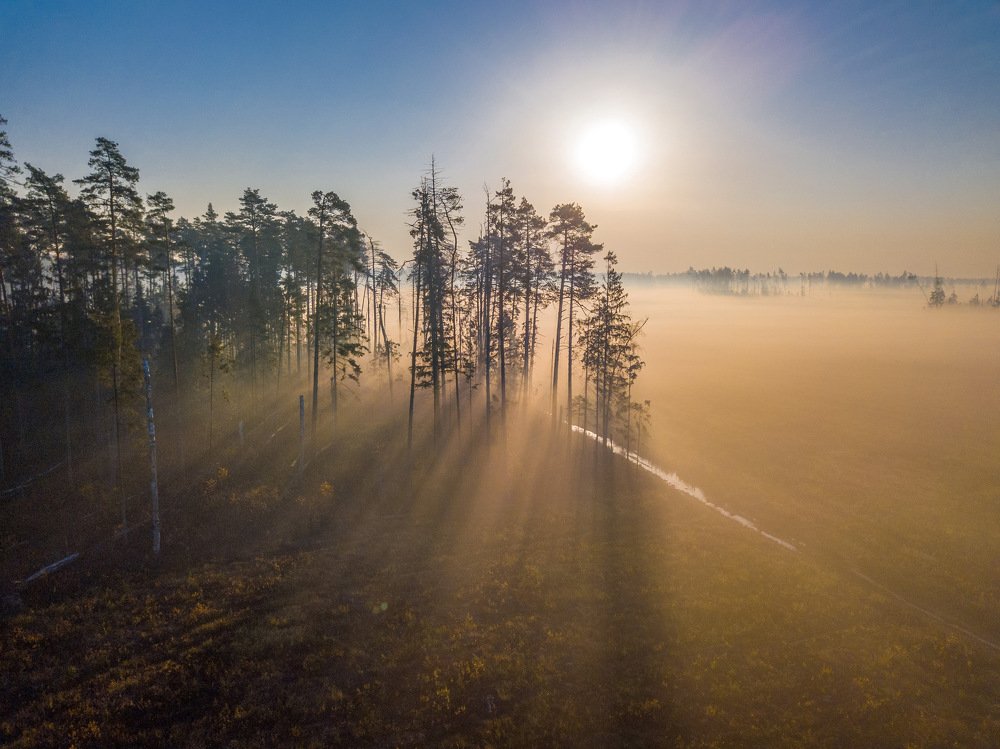 Photograph by Сергей Фаренюк