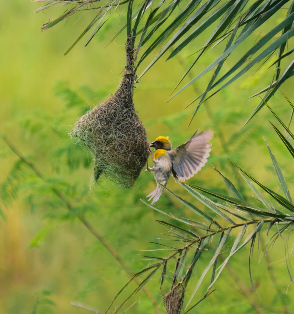 Photograph by Lakshya Sharma
