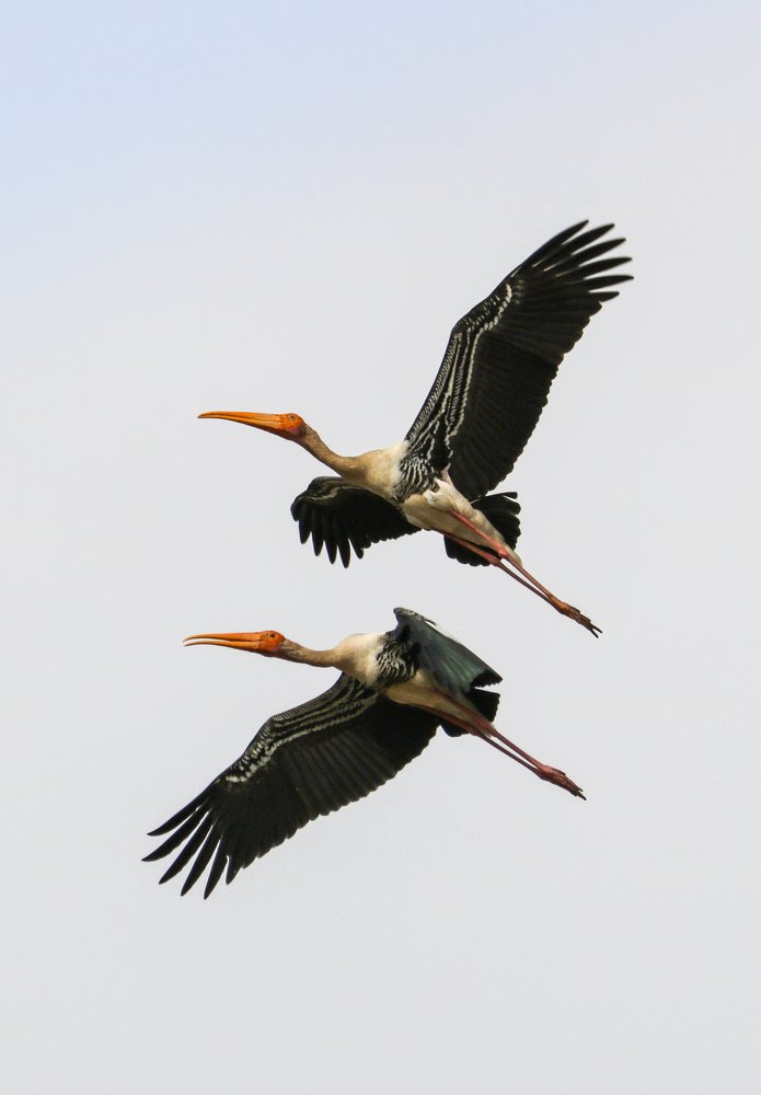 Photograph by Lakshya Sharma