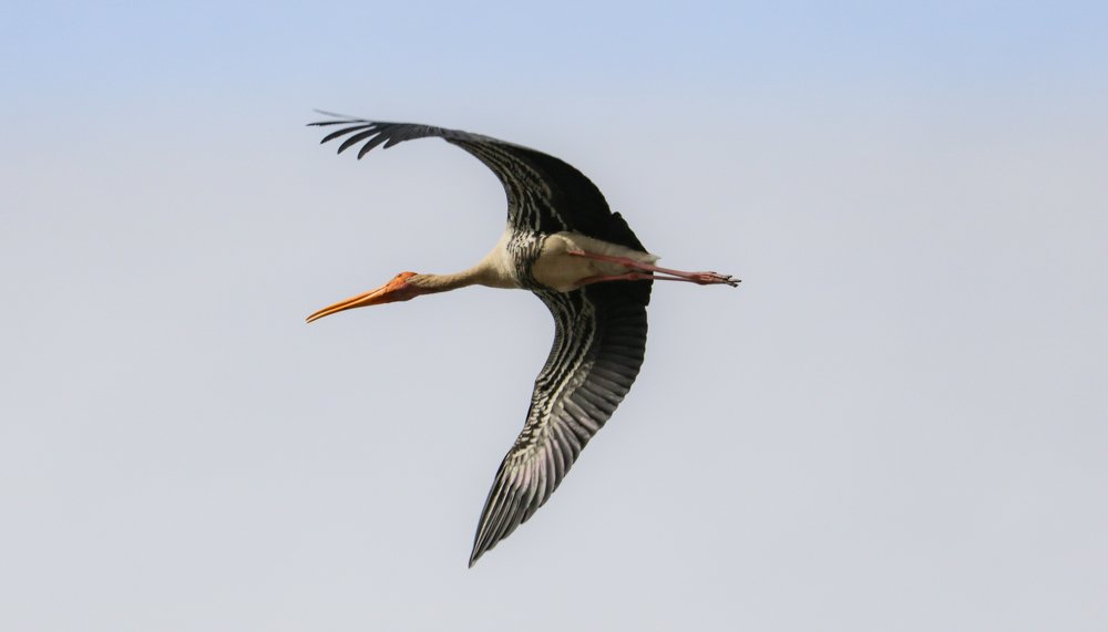 Photograph by Lakshya Sharma