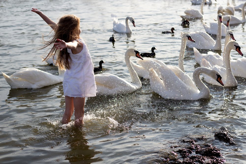 Photograph by Алина Игошева