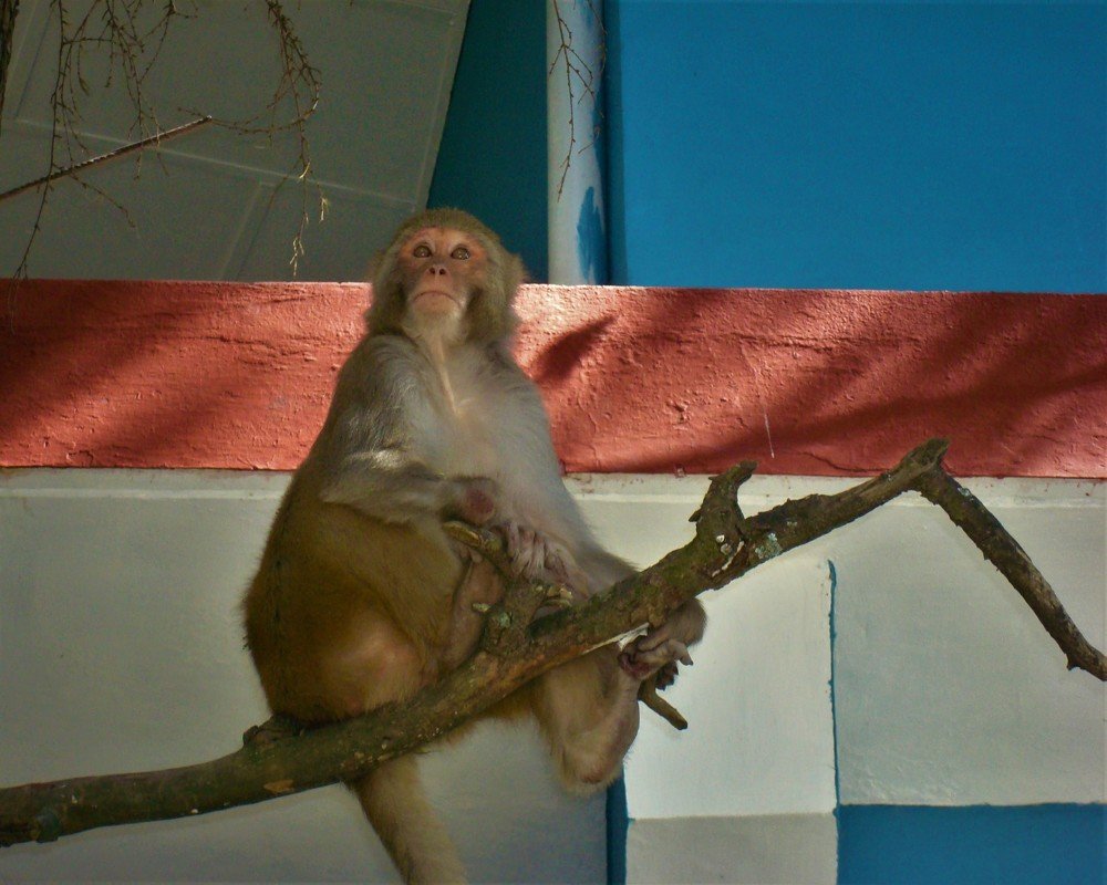 Photograph by Андрей Телибаев