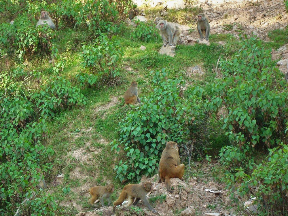 Photograph by Андрей Телибаев