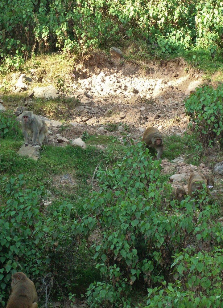 Photograph by Андрей Телибаев