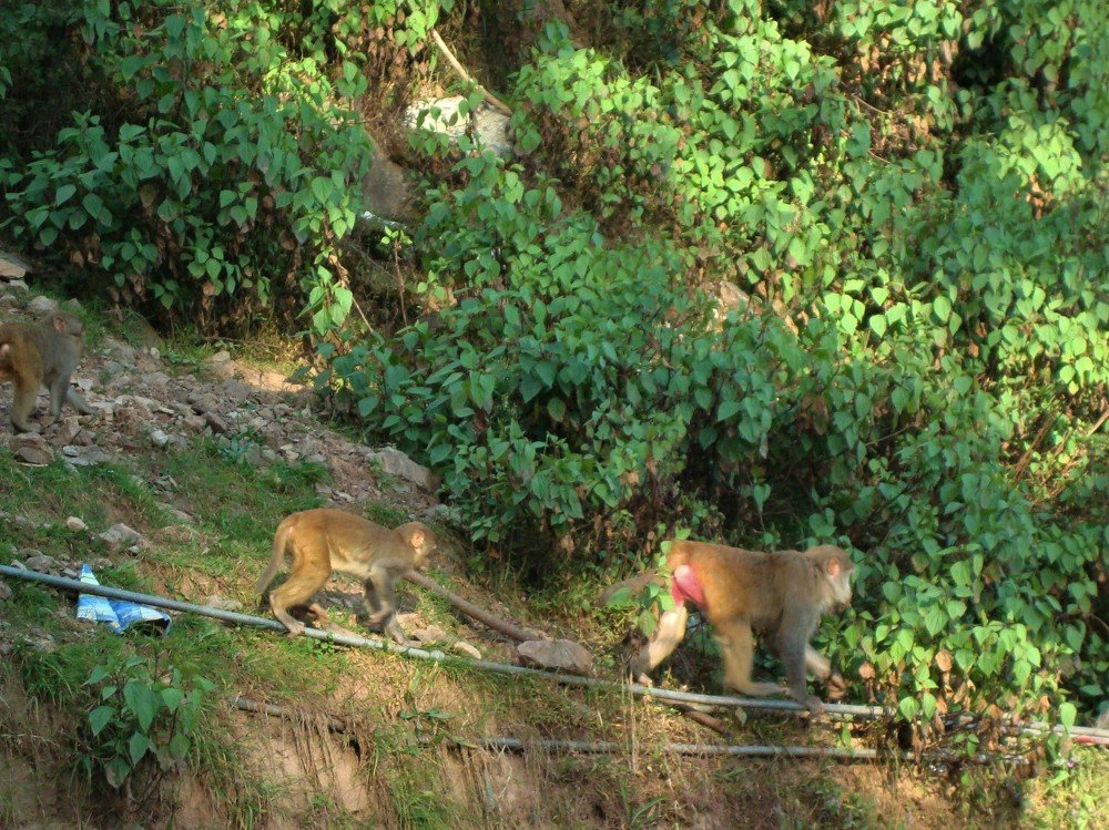 Photograph by Андрей Телибаев