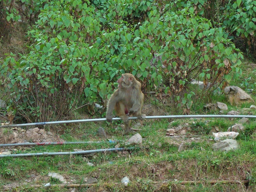 Photograph by Андрей Телибаев