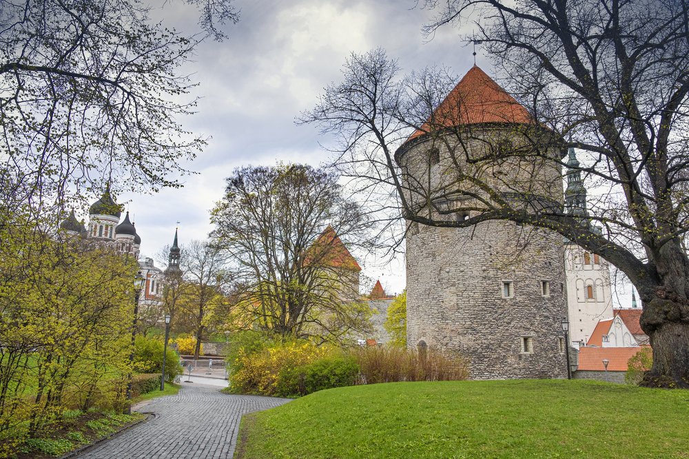 Photograph by Светлана Краюшкина