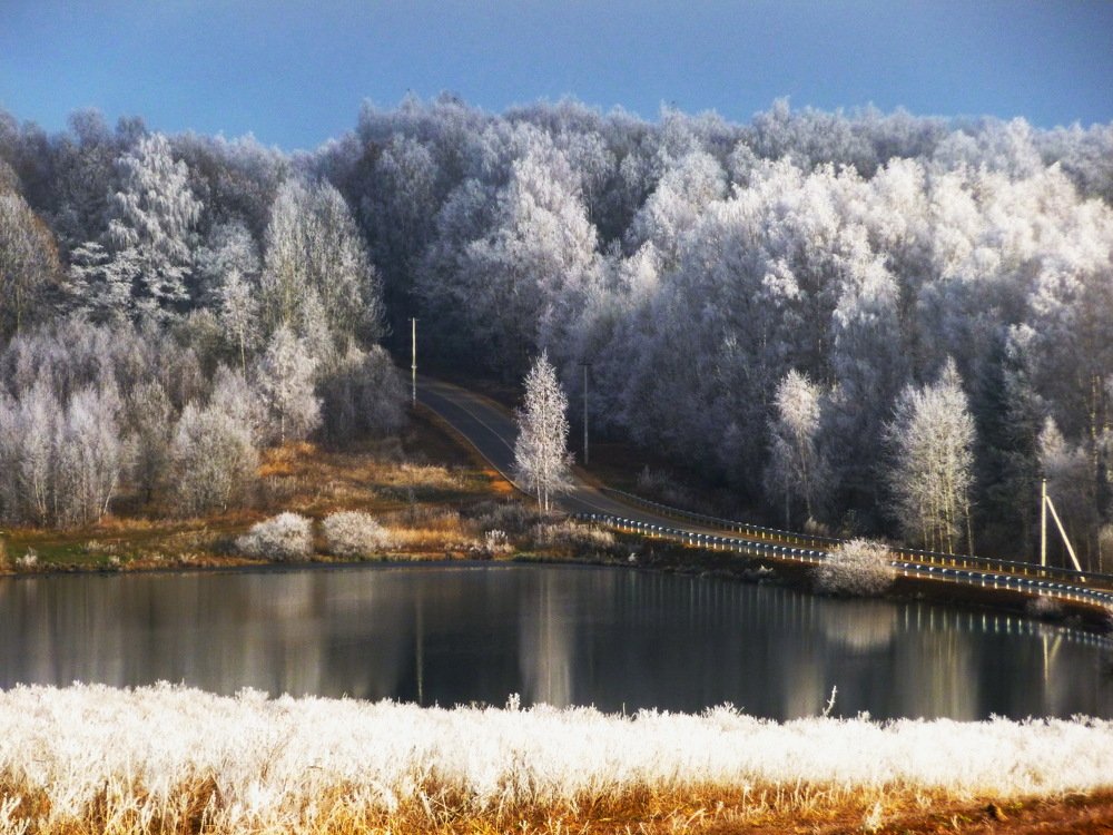 Photograph by Galina Leskova