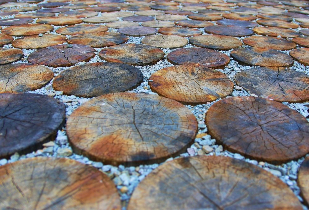 Photograph by Nanu Liviu
