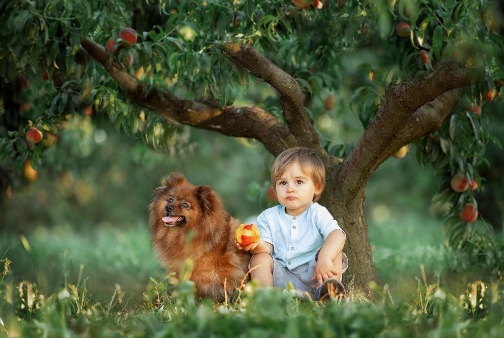 Photograph by Liudmila Solopova