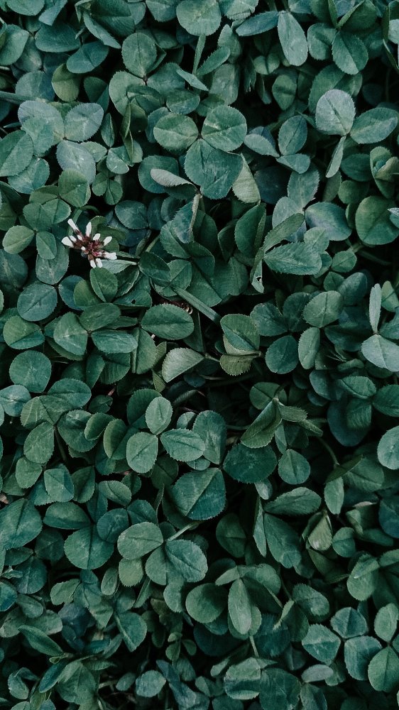 Photograph by Ирина Львова