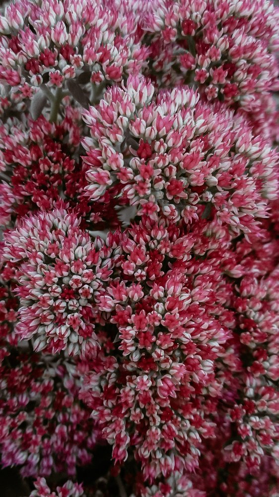 Photograph by Ирина Львова