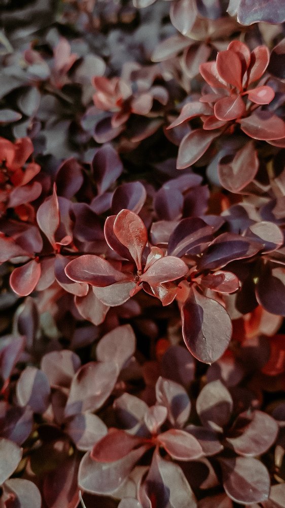 Photograph by Ирина Львова