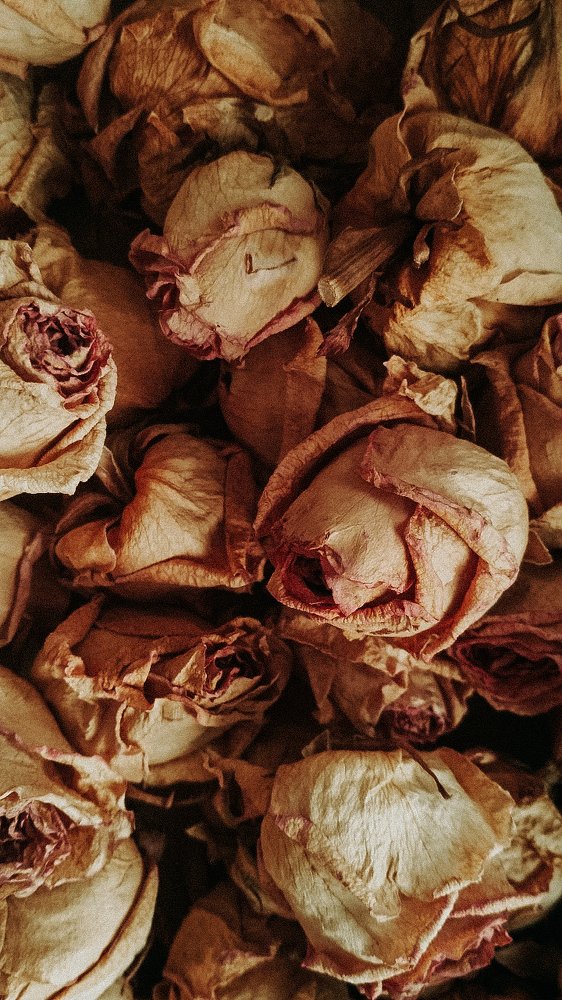 Photograph by Ирина Львова