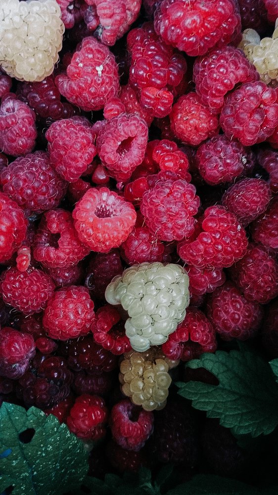 Photograph by Ирина Львова