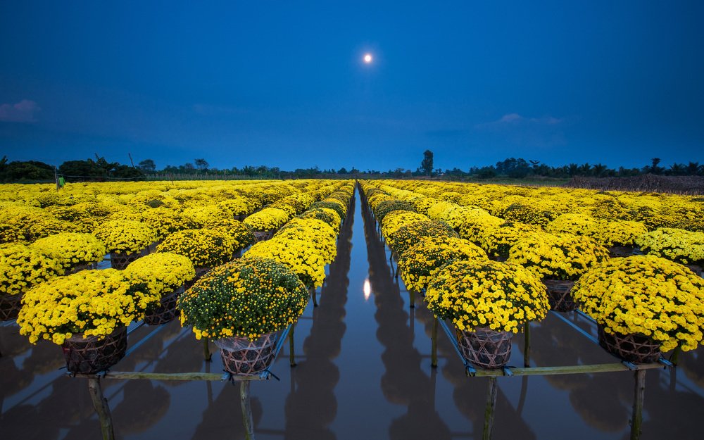 Photograph by Nguyen Huu Thanh