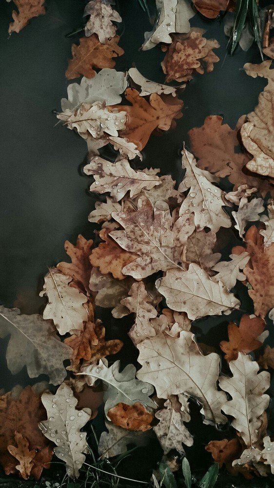 Photograph by Ирина Львова