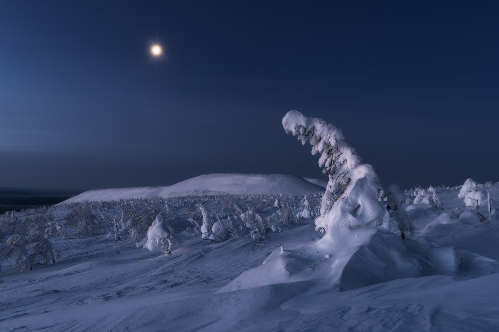 Photograph by Михаил Туркеев