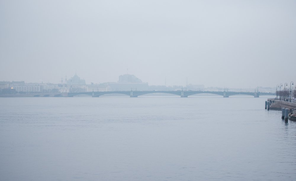 Photograph by Svetlana  Palaychuk