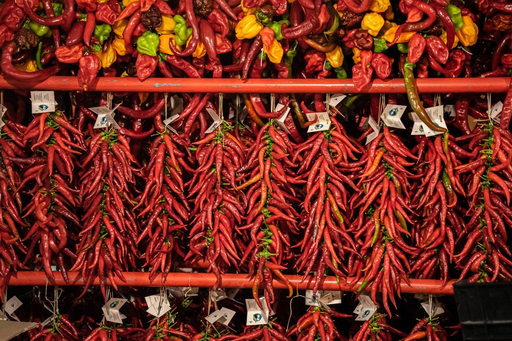 Photograph by Yuliia Pashentseva