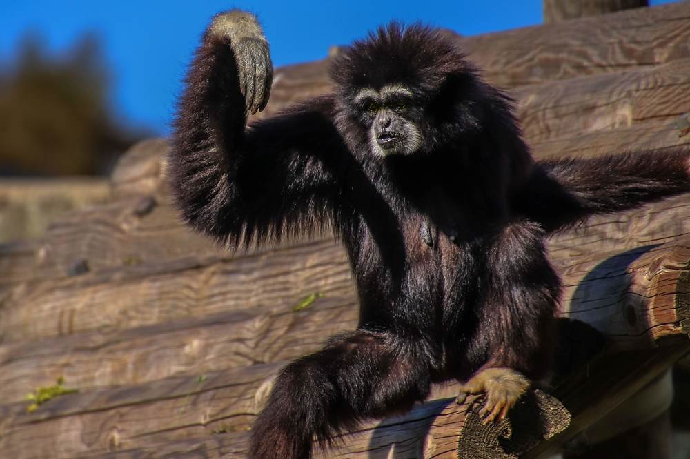 Photograph by Galina Rashap