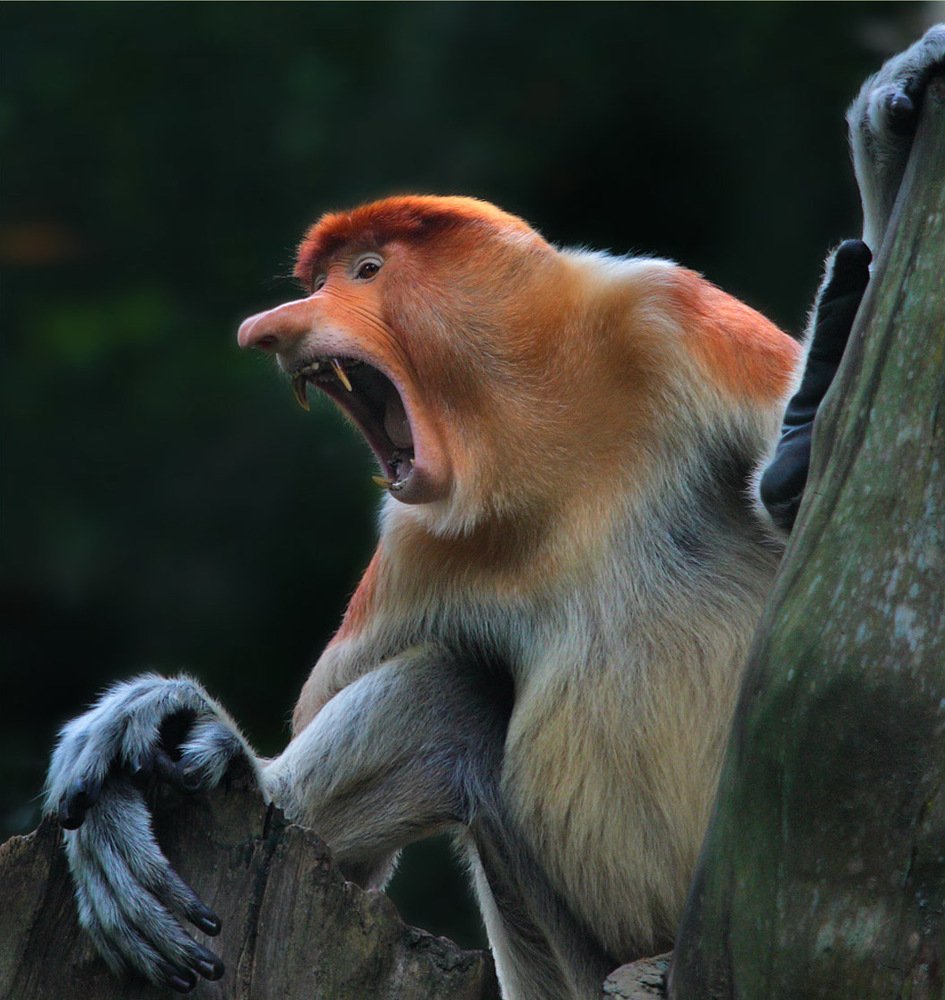 Photograph by Анатолий Макоедов