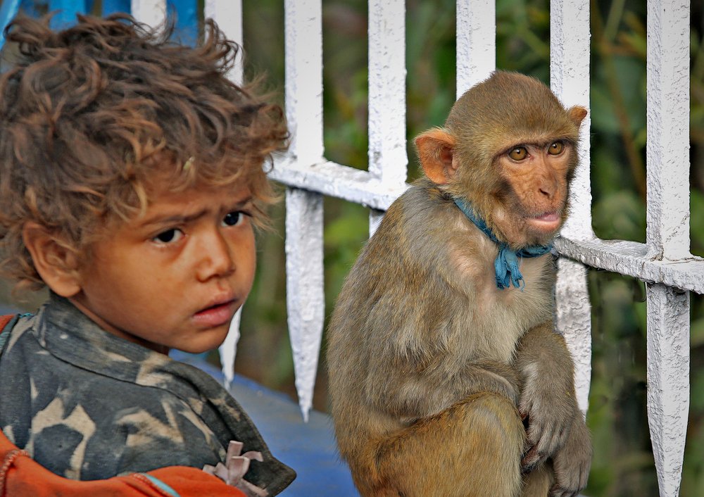 Photograph by Shibram Nag