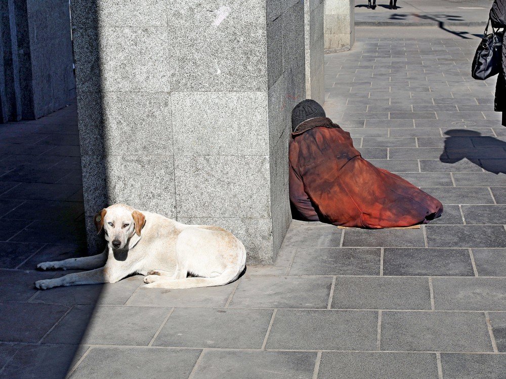 Photograph by Светлана Дебрская