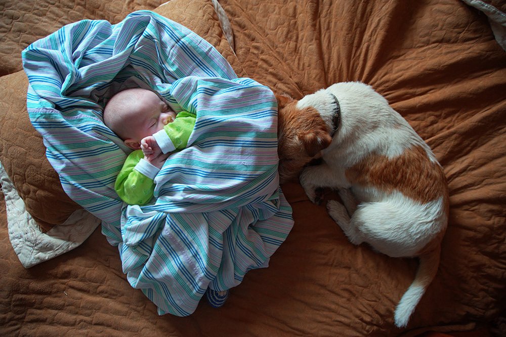 Photograph by Александр Либков