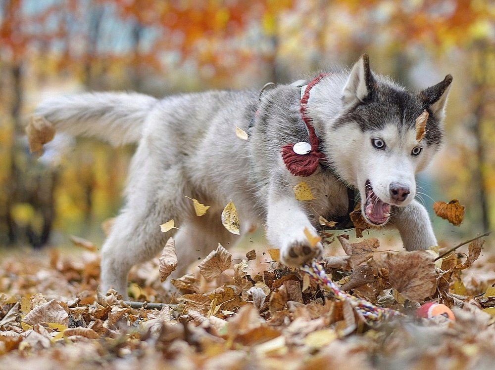 Фотография автора Мария Яропольская