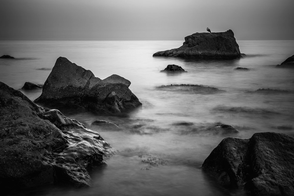 Photograph by Алексей Бортиков