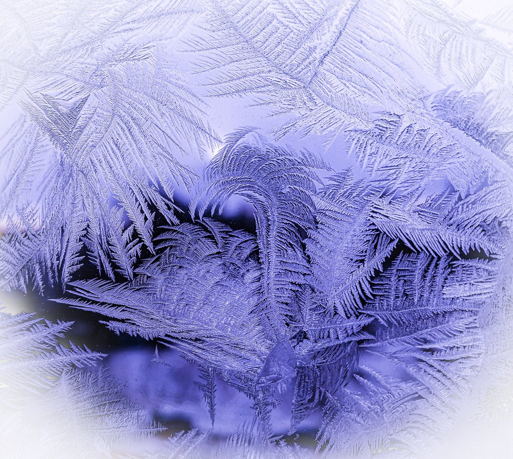 Photograph by Юлия Чванова