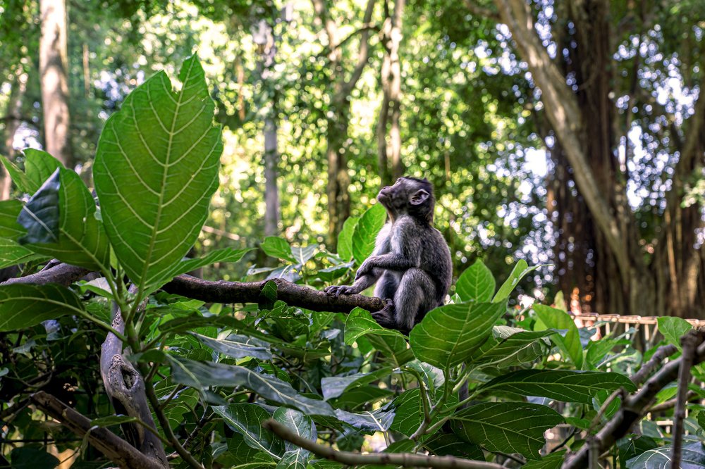 Photograph by Александр Фабер