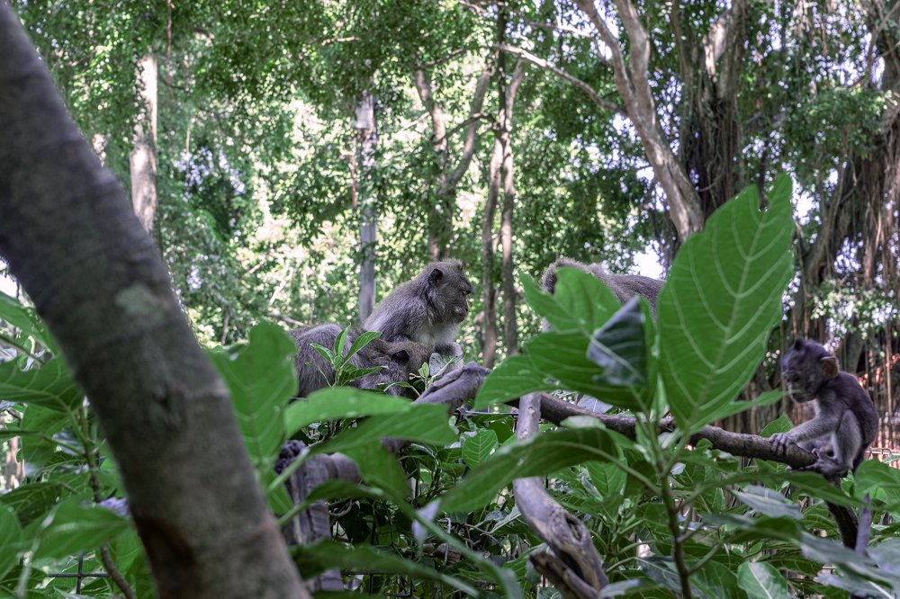 Photograph by Александр Фабер