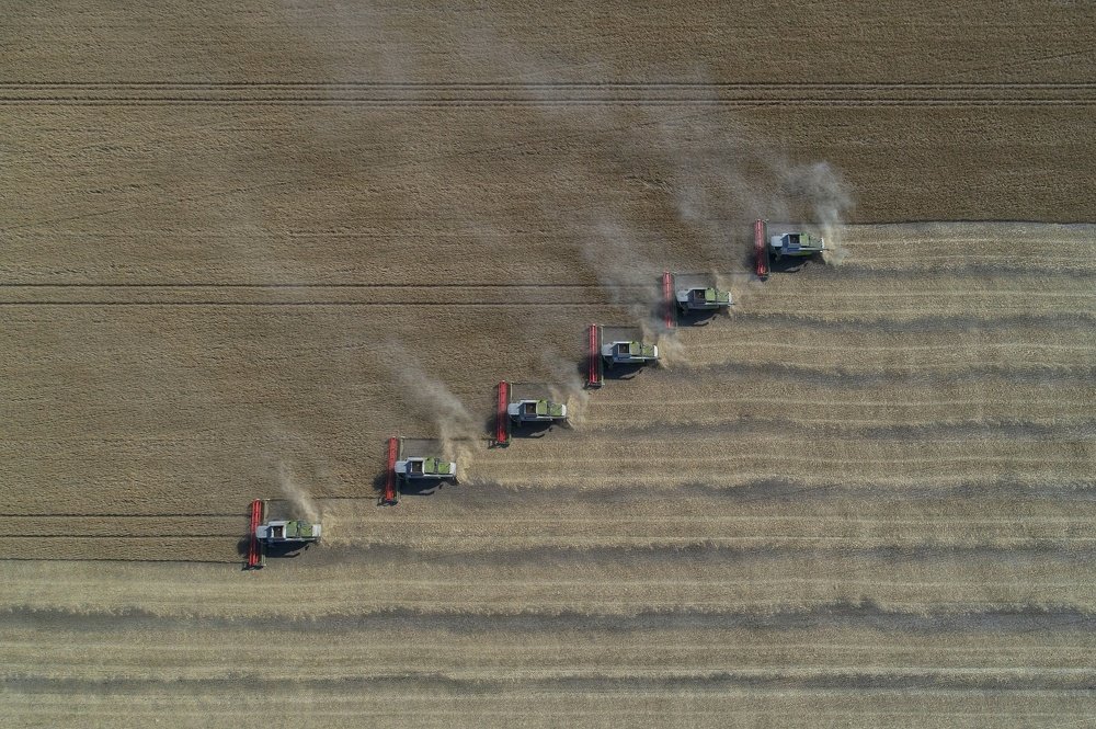 Мечта фермера перфекциониста!