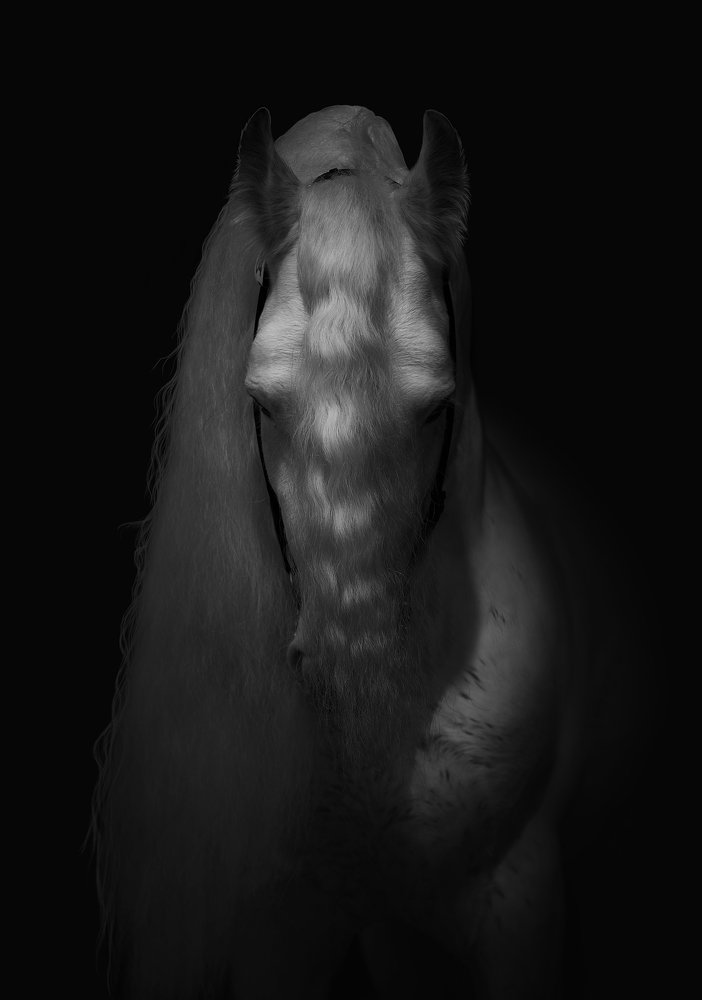 Photograph by Vera Konstantinovskaya