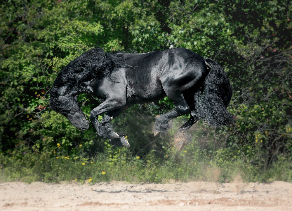 Photograph by Vera Konstantinovskaya