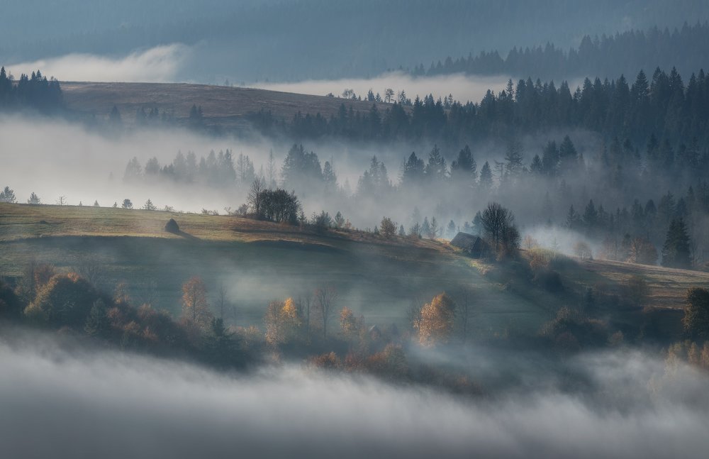 Фотография автора Ольга Рудченко