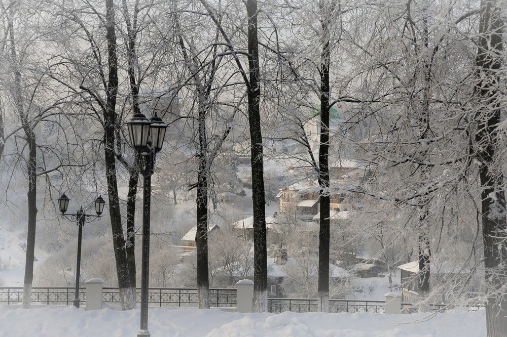 Зимняя сказка.